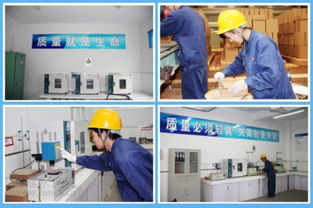 海螺耐火材料公司 服務(wù)水泥主業(yè)，打造行業(yè)精品耐火材料